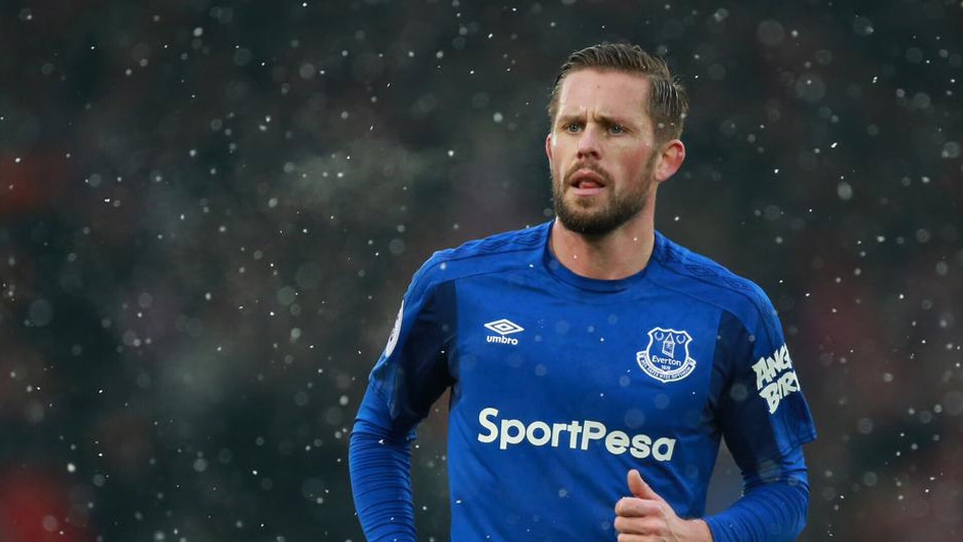 体育场馆智能服务系统，体育场馆智能服务系统有哪些